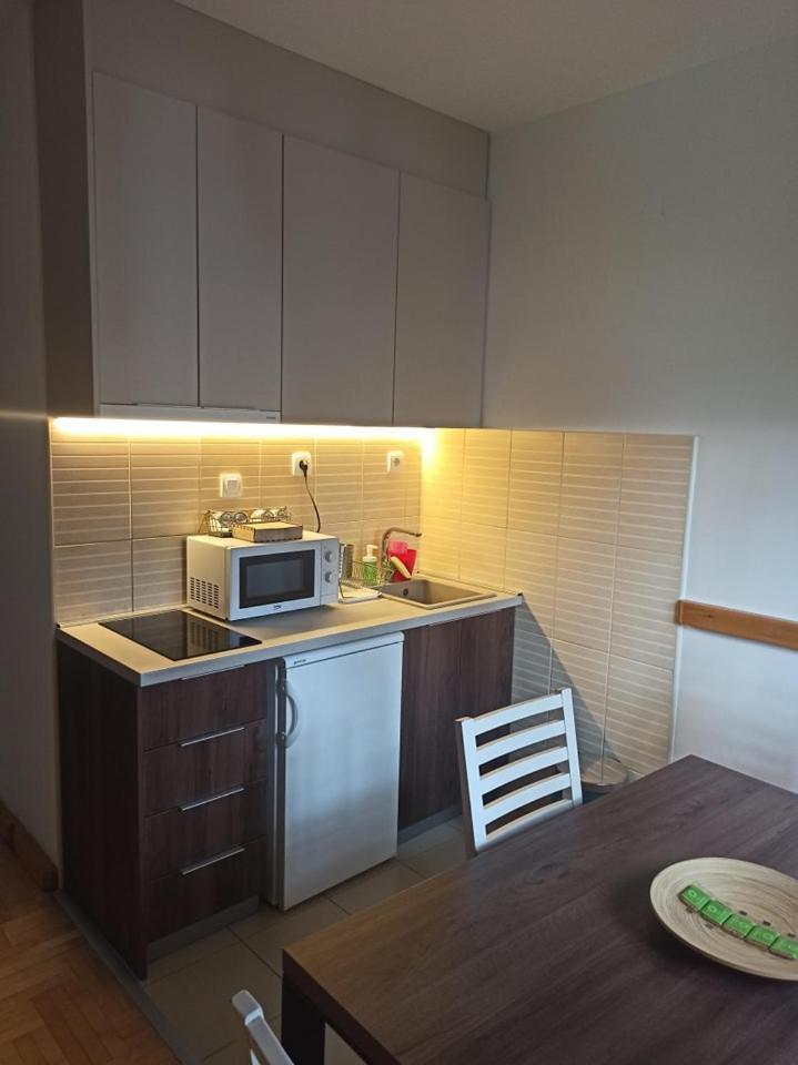 Apartment Plamenac *